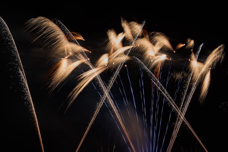 Fans of golden multi-shot fireworks rising into the sky